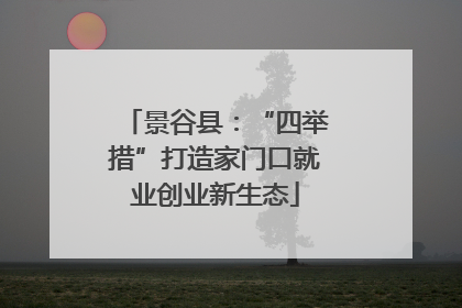景谷县：“四举措”打造家门口就业创业新生态