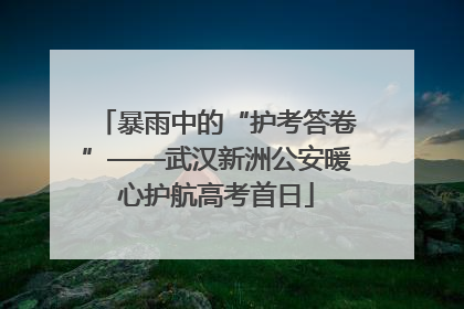 暴雨中的“护考答卷”——武汉新洲公安暖心护航高考首日