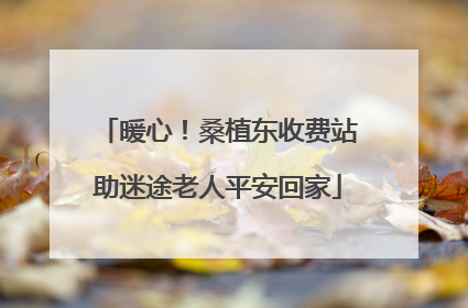 暖心！桑植东收费站助迷途老人平安回家