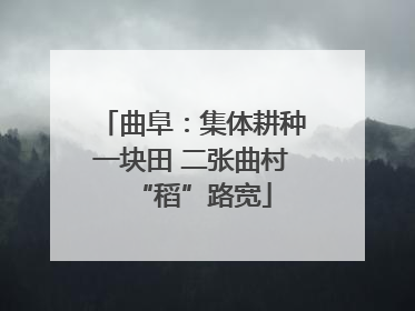 曲阜：集体耕种一块田 二张曲村“稻”路宽