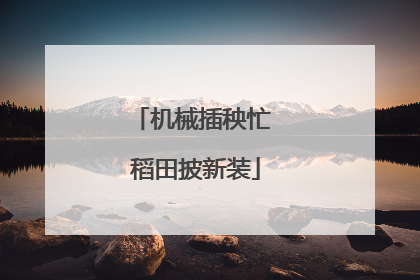 机械插秧忙 稻田披新装