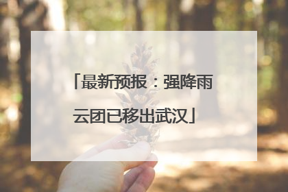 最新预报：强降雨云团已移出武汉