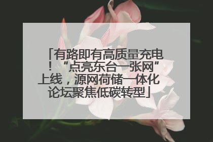 有路即有高质量充电！“点亮东台一张网”上线，源网荷储一体化论坛聚焦低碳转型