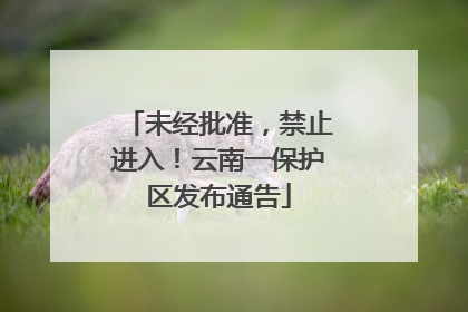未经批准，禁止进入！云南一保护区发布通告