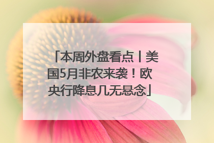 本周外盘看点丨美国5月非农来袭！欧央行降息几无悬念
