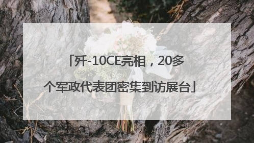 歼-10CE亮相，20多个军政代表团密集到访展台