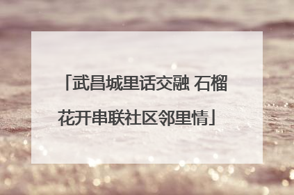 武昌城里话交融 石榴花开串联社区邻里情