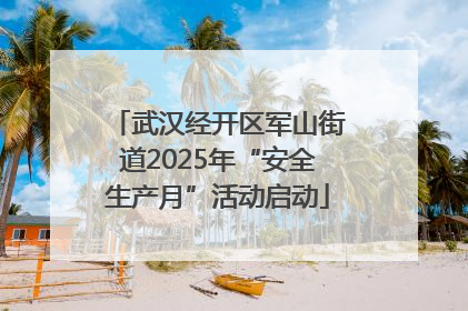 武汉经开区军山街道2025年“安全生产月”活动启动