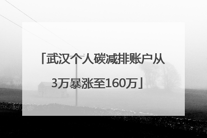武汉个人碳减排账户从3万暴涨至160万