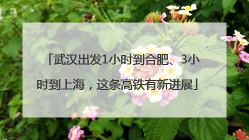 武汉出发1小时到合肥、3小时到上海，这条高铁有新进展