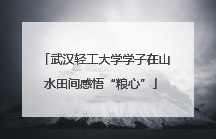 武汉轻工大学学子在山水田间感悟“粮心”