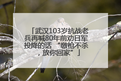 武汉103岁抗战老兵再喊80年前劝日军投降的话 “缴枪不杀，放你回家”