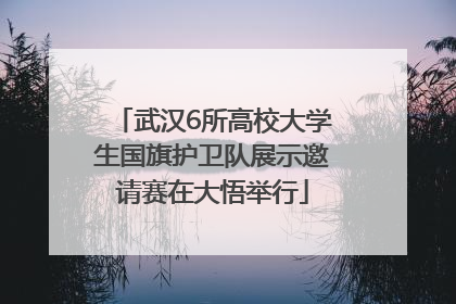 武汉6所高校大学生国旗护卫队展示邀请赛在大悟举行