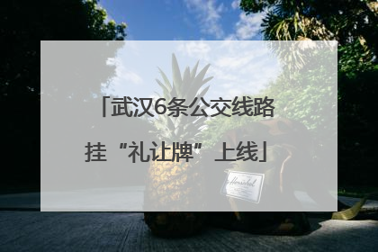 武汉6条公交线路挂“礼让牌”上线