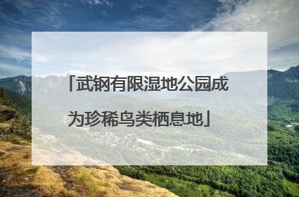 武钢有限湿地公园成为珍稀鸟类栖息地