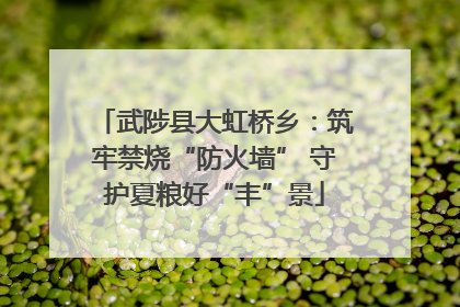 武陟县大虹桥乡：筑牢禁烧“防火墙” 守护夏粮好“丰”景