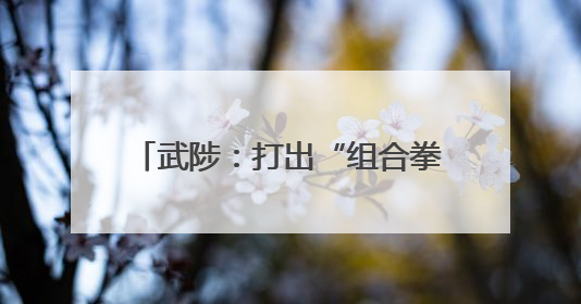武陟：打出“组合拳” 冲刺“双过半”
