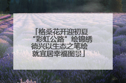 格桑花开迎初夏 “彩虹公路”绘锦绣 德兴以生态之笔绘就宜居幸福图景