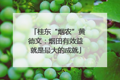 桂东“烟农”黄德文：烟田有效益就是最大的成就