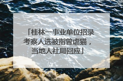 桂林一事业单位招录考察人选被指曾虐猫，当地人社局回应