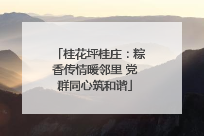 桂花坪桂庄：粽香传情暖邻里 党群同心筑和谐