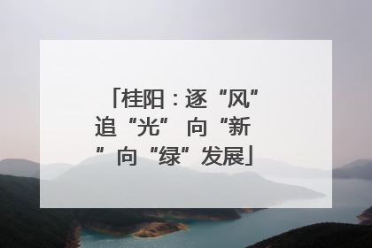 桂阳：逐“风”追“光” 向“新”向“绿”发展