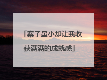 案子虽小却让我收获满满的成就感