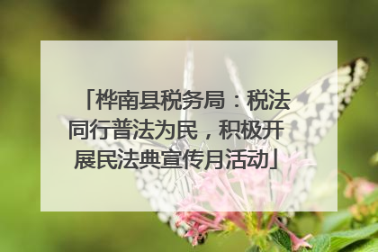 桦南县税务局：税法同行普法为民，积极开展民法典宣传月活动