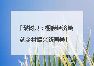 梨树县：棚膜经济绘就乡村振兴新画卷