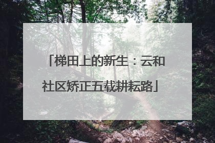 梯田上的新生：云和社区矫正五载耕耘路