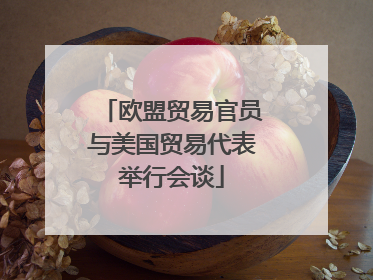 欧盟贸易官员与美国贸易代表举行会谈