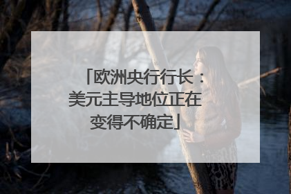 欧洲央行行长：美元主导地位正在变得不确定