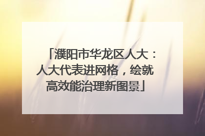 濮阳市华龙区人大：人大代表进网格，绘就高效能治理新图景