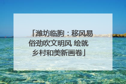 潍坊临朐：移风易俗劲吹文明风 绘就乡村和美新画卷