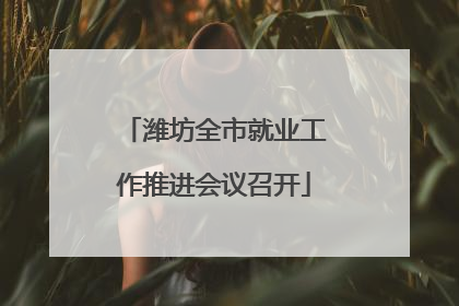 潍坊全市就业工作推进会议召开