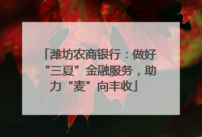 潍坊农商银行：做好“三夏”金融服务，助力“麦”向丰收