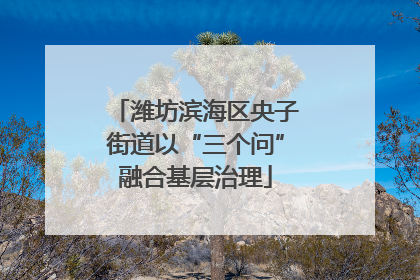 潍坊滨海区央子街道以“三个问”融合基层治理