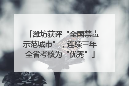 潍坊获评“全国禁毒示范城市”，连续三年全省考核为“优秀”