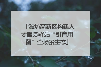 潍坊高新区构建人才服务驿站“引育用留”全场景生态