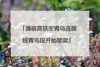 潍宿高铁至青岛连接线青岛段开始架梁
