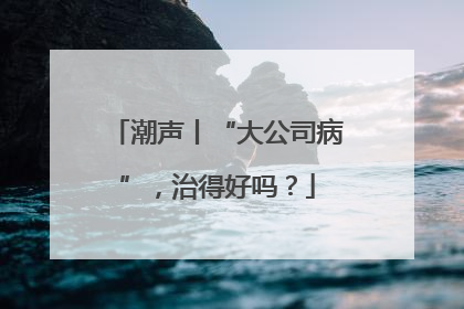 潮声丨“大公司病”，治得好吗？