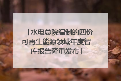 水电总院编制的四份可再生能源领域年度智库报告隆重发布