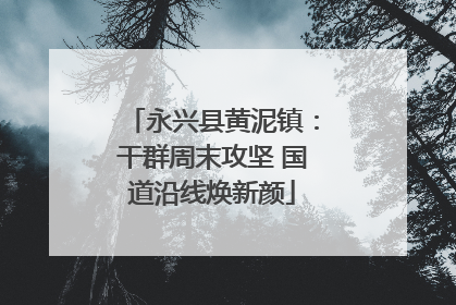永兴县黄泥镇：干群周末攻坚 国道沿线焕新颜