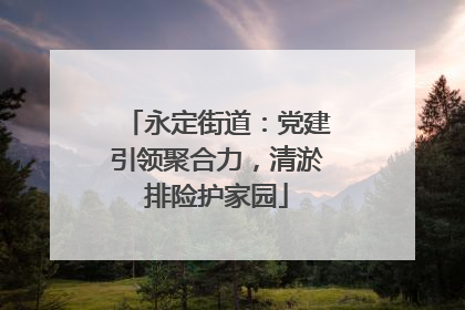 永定街道：党建引领聚合力，清淤排险护家园