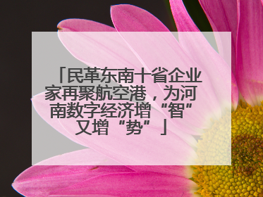民革东南十省企业家再聚航空港，为河南数字经济增“智”又增“势”