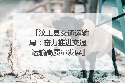 汶上县交通运输局：奋力推进交通运输高质量发展