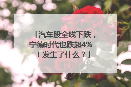 汽车股全线下跌，宁德时代也跌超4%！发生了什么？