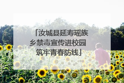 汝城县延寿瑶族乡禁毒宣传进校园 筑牢青春防线