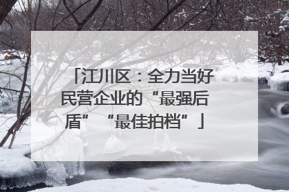 江川区：全力当好民营企业的“最强后盾”“最佳拍档”