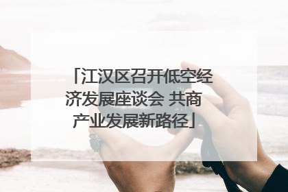 江汉区召开低空经济发展座谈会 共商产业发展新路径